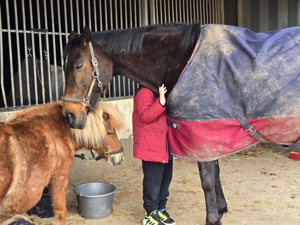 Fondation La Vie au Grand Air